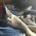 Nick Bevins - Facebook