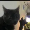 Nicholas bianchini - @mask._vr_ - TikTok