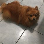 nicholas bianchini - @nicholas.bianchini - Instagram