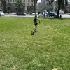 Nicholas.diblasi12 - @nicholas.diblasi12 - TikTok