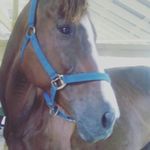 Nicholas Boyce - @nicholas.boyce.921 - Instagram