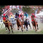 Nicholas Boyce - @nicholas.boyce.735 - Instagram