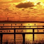 Nicholas Boykin - Facebook