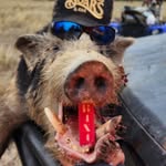 Nicholas Brassington - @nicholasbrassington - Instagram