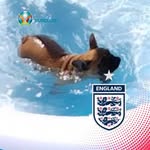 Nicholas Brian - @eviescott7272 - Instagram