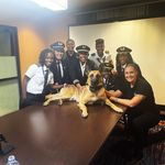 Nicholas Broussard - @k9_rexx - Instagram