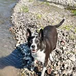 Nicholas Bryson - Facebook