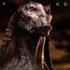 nicholasburmer - @nicholasburmer - TikTok