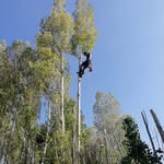 Nicholas Burchell - @nicholas_burchell - Instagram
