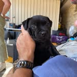Busby Nicholas - @busby_nicholas - Instagram