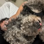 Nicholas Calo - @bumbjuicejr_ - Instagram