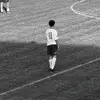 Nicholas Castellone - @nicholas.castello - TikTok