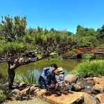 Nicholas Cecil - @cecilnicholas_ - Instagram