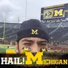 Nicholas Celestino - @nicholascelestino - TikTok