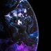 Nicholas Celli - Facebook