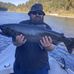 Nick Celli - Facebook