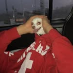 Nicholas Chard - @nicholas_chard - Instagram