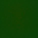 nicholas chartrand - @fuzzypeach67 - Instagram