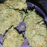 Nicholas chartrand - @stewie_griffin_453 - Instagram