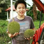 Nicholas Chin - @nicholas_chin0908 - Instagram