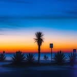 Nicholas Chin - @nicholas.chin.3990 - Instagram
