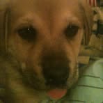 Nicholas Chism - Facebook