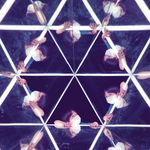nicholas_cinque - @nicholas_cinque - Instagram