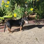Nicholas Cisneros - @4penguin22 - Instagram