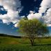 Nicholas Clegg - Facebook