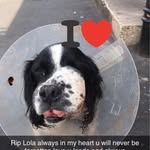 Nicholas Clements - @nicholas.clements.3979 - Instagram