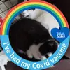 Nicholas Coggin - @nicholas.coggin - TikTok