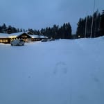 Nicholas - @nicholas_constantinescu - Instagram
