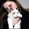 魚を食べない猫 - @nicholas.cookson - TikTok