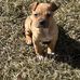 Nick Cookson - Facebook