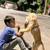 Nicholas Costa - @nicholas.costa1 - TikTok