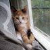 Nicholas Covert - Facebook