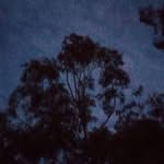 Nicholas Covington - @stondcat73 - Instagram