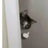 Nicholas Crain - @nicholas.crain4 - TikTok