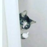 Nicholas crain - @nicholascrain46 - Instagram