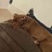 Nicholas Crain - Facebook