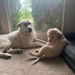 Nicholas Crain - @nickcrain333 - Instagram