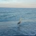 Nicholas Crain - Facebook
