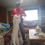 Nicholas Cramer - @nicholascramer - Instagram