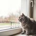 Nicholas Crisp - Facebook