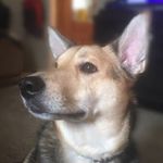 Nicholas Crispino - @nicholas.crispino.56 - Instagram