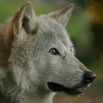 Nicholas Currier - @nicholascurrier - Instagram