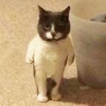 Nicholas Damian - @nicholaspls - Instagram