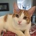 Nicholas Dearing - Facebook