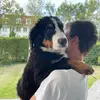 Nicolas De Bloos - @nicolas.de.bloos - TikTok