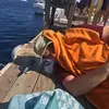 Nicholas DeVito - @nicodorito23 - TikTok